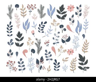 Vector floral set with plants and flowers Stock Vector