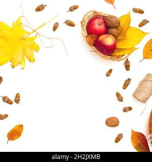 Autumnal and thanksgiving concept. Yellow leaves, apple and acorns on white background. Flat lay, top view Stock Photo
