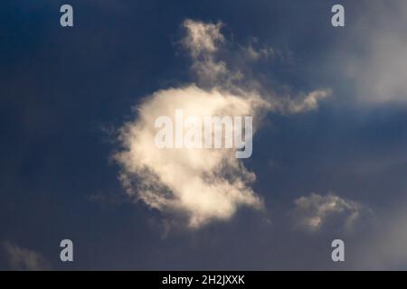 White cloud texture. Air material backdrop. Sky effect pattern. Wallpaper and background. Stock Photo