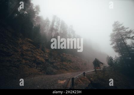 House in the middle of a foggy forest Stock Photo
