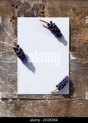 Blank vertical paper mockup greeting card at wooden surface with grape hyacinth flowers Stock Photo