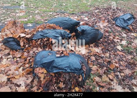 Garbage Big Black Plastic Bags Nature Forest River Spring Cleaning Stock  Photo by ©vitalii.kyrychuk@gmail.com 334233066