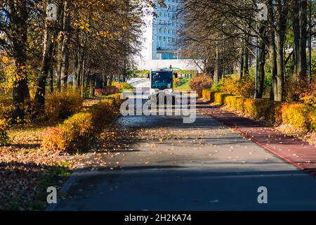 A man on a mini-tractor removes fallen yellow leaves from a sidewalk in a city park. Moscow, Russia October 10, 2021 Stock Photo