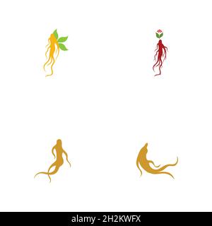 Ginseng logo set illustration vector template Stock Vector