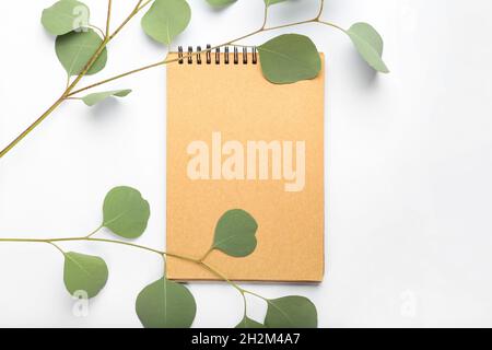 Blank notebook and eucalyptus branches on white background Stock Photo