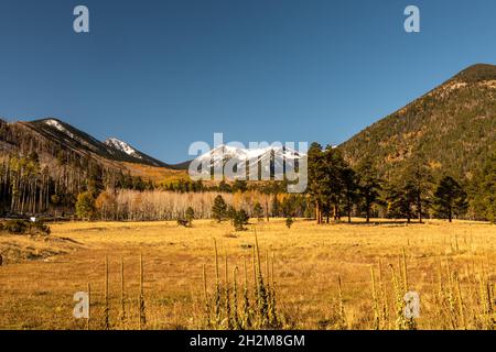 Lockett Meadow in Flagstaff, Arizona during fall season Stock Photo