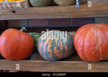 three ripe pumpkins of different varieties on the counter after harvesting. Stock Photo