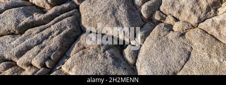 Granit stone with lichen on a beach on Brittany, natural background Stock Photo