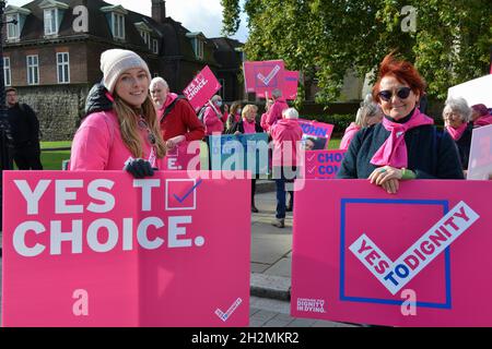 Protesters seen holding placards expressing their opinion at Abingdon Street during the demonstration. Protesters support legal euthanasia for terminally ill patients with full mental capacity, and who are not expected to live more than six months. Stock Photo