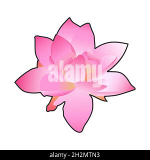 flower lily, graphic work, nice colors, isolated work Stock Photo