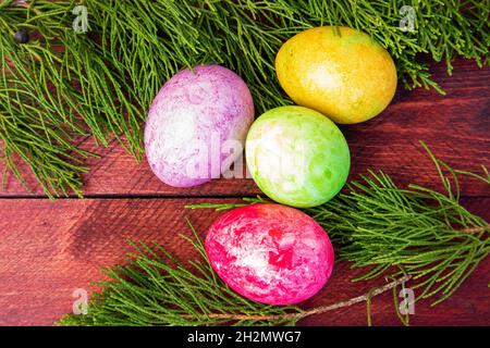 Four multicolored bright easter eggs and thuja branch lying on red wood deck Stock Photo