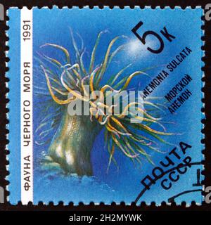 RUSSIA - CIRCA 1991: a stamp printed in Russia shows Mediterranean Snakelocks Sea Anemone, Anemonia Sulcata, circa 1991 Stock Photo