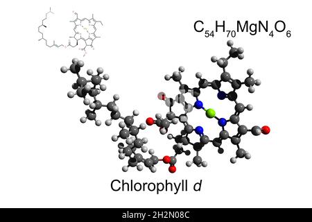 Chemical formula, skeletal formula, and 3D ball-and-stick model of the pigment chlorophyll d, white background Stock Photo