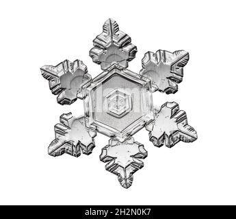 Black snowflake isolated on white background. Illustration based on macro photo of real snow crystal: elegant star plate with short, broad arms Stock Photo