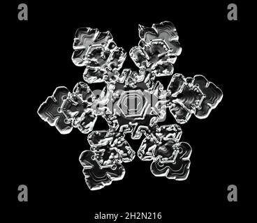 White snowflake isolated on black background. Illustration based on macro photo of real snow crystal: elegant star plate with short, broad arms Stock Photo