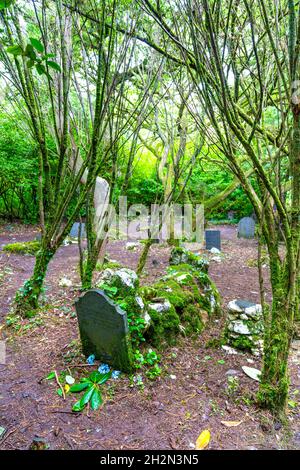 The Dogs' Cemetery in Morfa Harlech Nature Reserve near Portmeirion, Snowdonia, Wales, UK Stock Photo