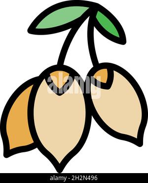 Antioxidant superfood icon. Outline antioxidant superfood vector icon color flat isolated Stock Vector