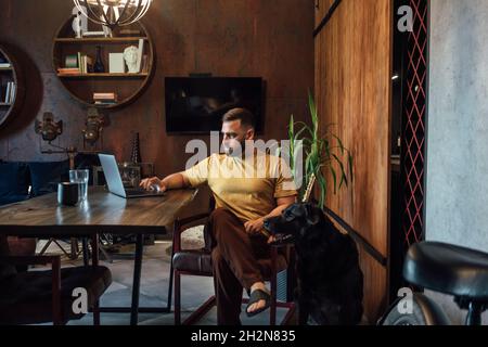 Serious male freelancer using laptop by dog at home office Stock Photo