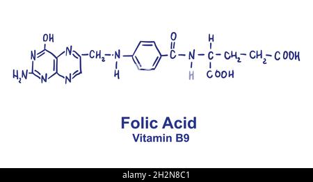 Folic acid chemical structure. Vector illustration Hand drawn. Stock Vector