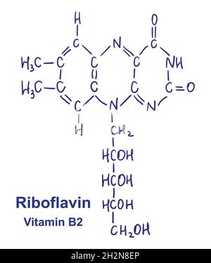Riboflavin chemical structure. Vector illustration Hand drawn. Stock Vector