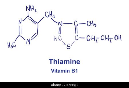 Thiamine chemical structure. Vector illustration Hand drawn. Stock Vector