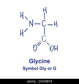 Glycine chemical structure. Vector illustration Hand drawn. Stock Vector