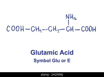 Glutamin asid chemical structure. Vector illustration Hand drawn Stock Vector