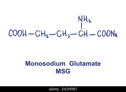 Monosodium glutamate MSG chemical structure. Vector illustration Hand drawn Stock Vector