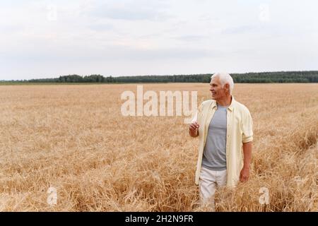 Girl holding hand of grandfather while walking on wheat field Stock Photo