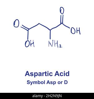 Aspartic acid or aspartate chemical structure. Vector illustration Hand drawn Stock Vector