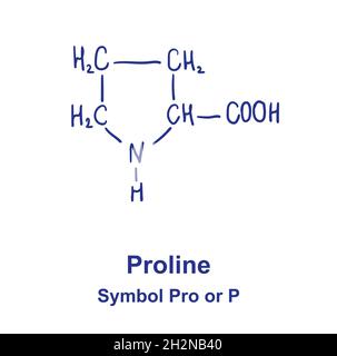 Proline chemical structure. Vector illustration Hand drawn. Stock Vector