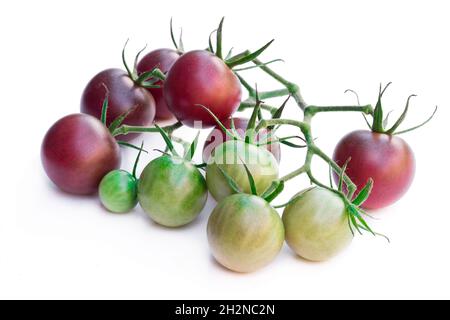 Fresh  black cherry tomatoes isolated on white Stock Photo