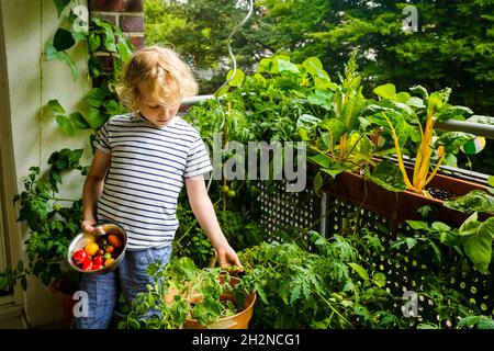 Smiling father covering eyes with tomatoes while sitting with son in balcony Stock Photo