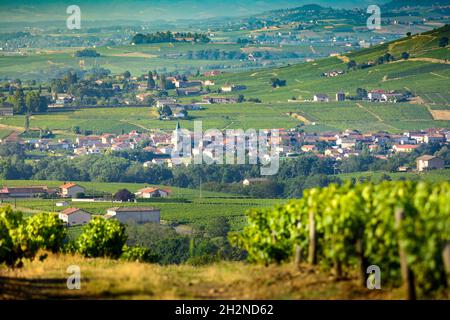 Village de Cercié, Beaujolais, France Stock Photo