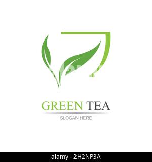 leaf shoots green organic tea mug leaf logo symbol design idea Green tea vector logo template. Design with leaf and cup symbol. Stock Vector