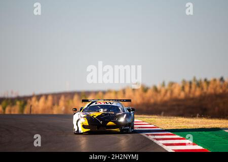 66 Fannin Jody (gbr), Shaun Fung Wei Thong (hkg), Sales Rodrigo (usa), JMW Motorsport, Ferrari F488 GTE Evo, action during the 2021 4 Hours of Portimao, 5th round of the 2021 European Le Mans Series, from October 21 to 24, 2021 on the Algarve International Circuit, in Portimao, Portugal - Photo: Joao Filipe/DPPI/LiveMedia Stock Photo