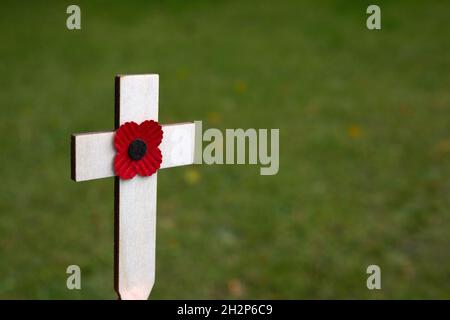 Red puppy flower placed on the small wooden cross in the green grass. Poppy remembrance day cross in a field Stock Photo