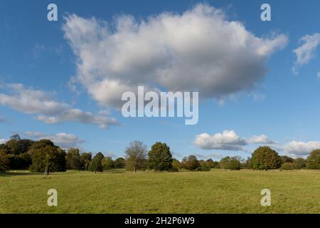 Fluffy clouds. Autumn clouds above Lower Lanham, near Alresford, Hampshire, UK Stock Photo
