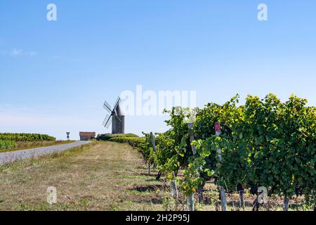 The AOC Loupiac is a French wine area mostly known for its sweet white wines - and right opposite off Sauternes Stock Photo