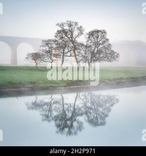 A small copse of trees is reflected in the River Wharfe on a misty spring morning with the arches of Arthington Viaduct just visible in the background. Stock Photo