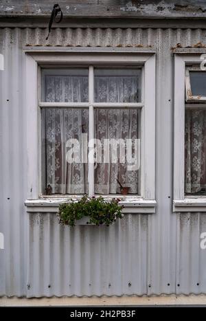 Residential window with lace curtains in downtown Reykjavik, Iceland Stock Photo