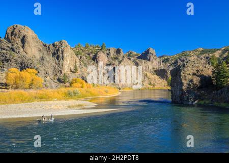 floaters fishing below cliffs and fall colors along the missouri river near dearborn, montana Stock Photo