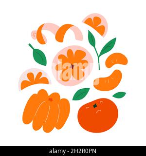 Tangerine or mandarin, peeled clementine fruit slices with leaves, hand drawn doodle illustration isolated on white, vector clip art collection Stock Vector