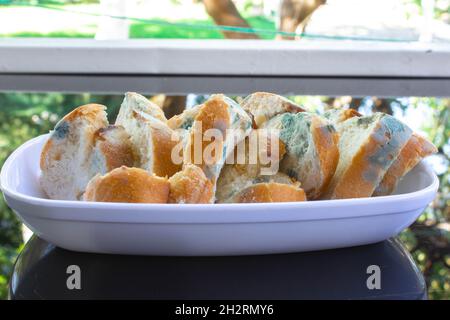 Molded bread slices in a white ceramic plate. Stale and wasted food Stock Photo