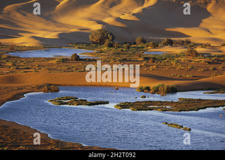 MOROCCO, LAAYOUNE, DESERT, OASIS, THE CAPITAL OF THE LAAYOUNE-BOUJDOUR-SAKIA EL HAMRA REGION UNDER MOROCCAN ADMINISTRATION. DESERT, OASIS. Stock Photo