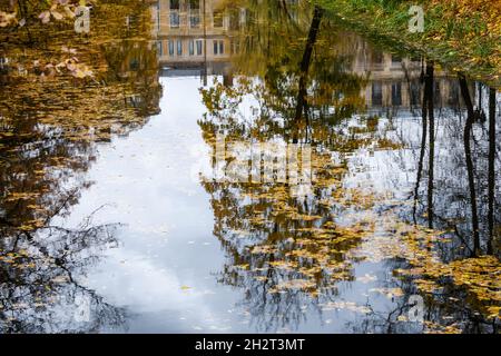 Selective focus photo. Tree reflection on water. Stock Photo