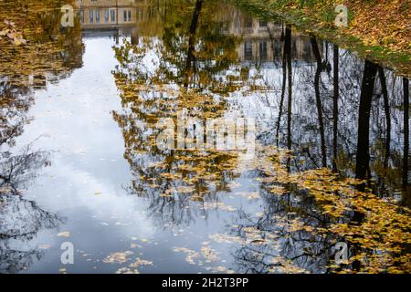 Selective focus photo. Tree reflection on water. Stock Photo