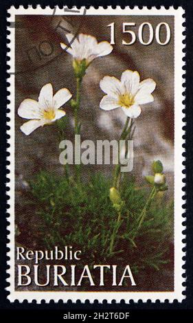 BURYATIA (RUSSIA) - CIRCA 1997: a stamp printed in Buryatia shows White Flowers, circa 1997 Stock Photo