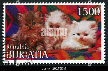 BURYATIA (RUSSIA) - CIRCA 1997: a stamp printed in Buryatia shows Domestic Cats, Felis Silvestris Catus, animal, circa 1997 Stock Photo