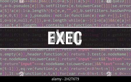 Exec text written on Programming code abstract technology background of software developer and Computer script. Exec concept of code on computer monit Stock Photo